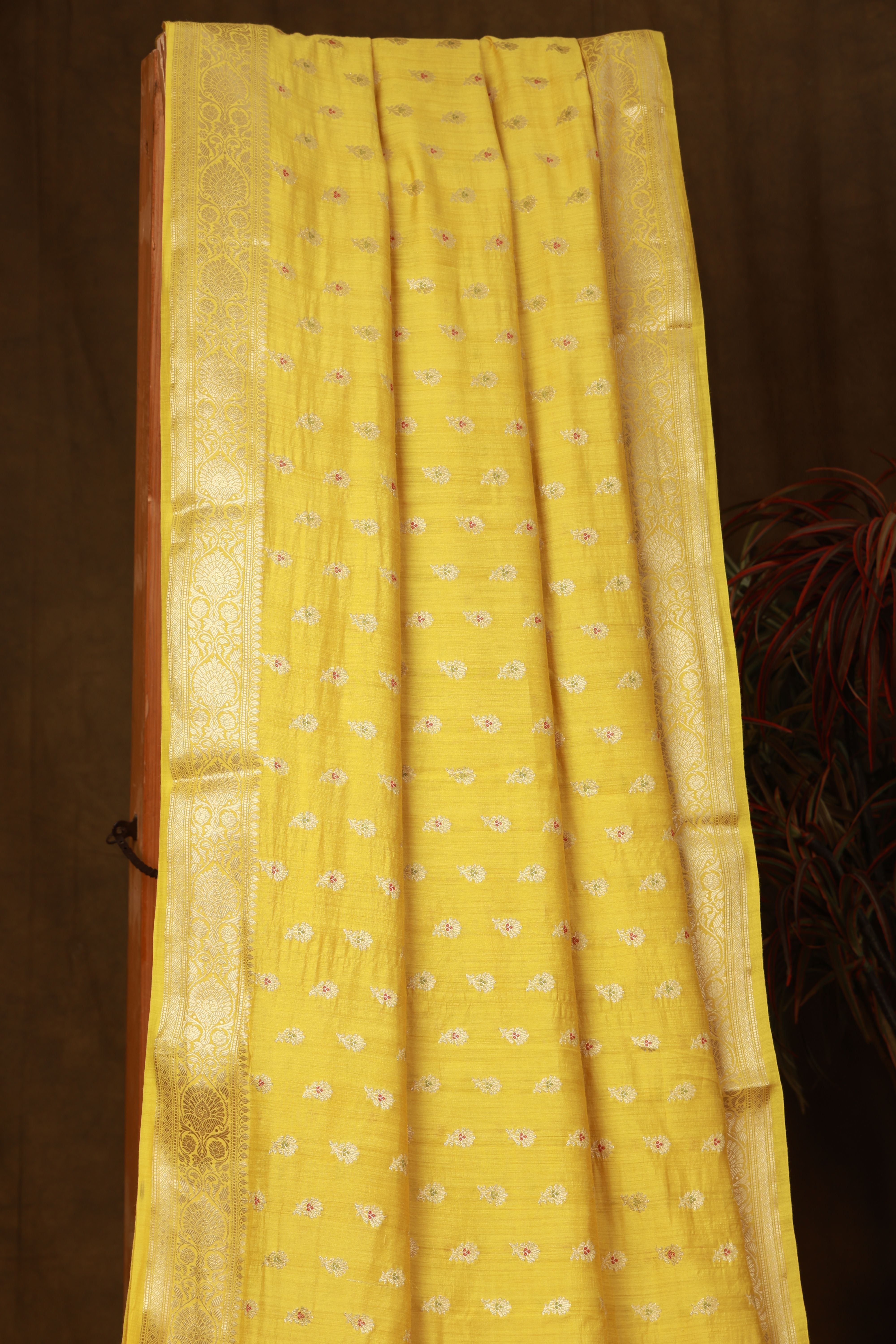 Banarasi pure Muga silk yellow saree with zari Bute, zari pallu
